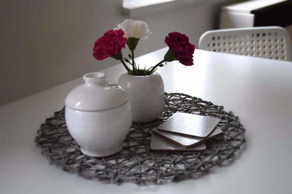 Apartment Olomouc Centre Екстер'єр фото